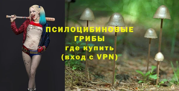 кокаин Инсар