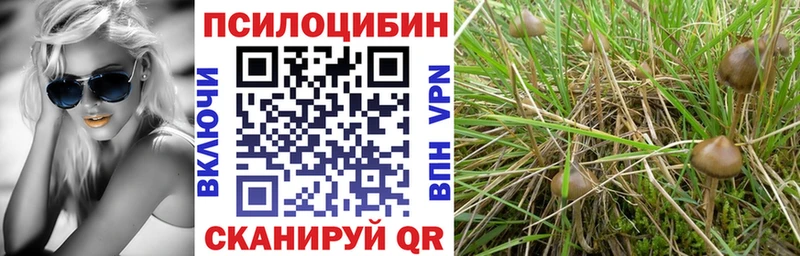 Купить  Оханск  Галлюциногенные грибы Psilocybine cubensis 